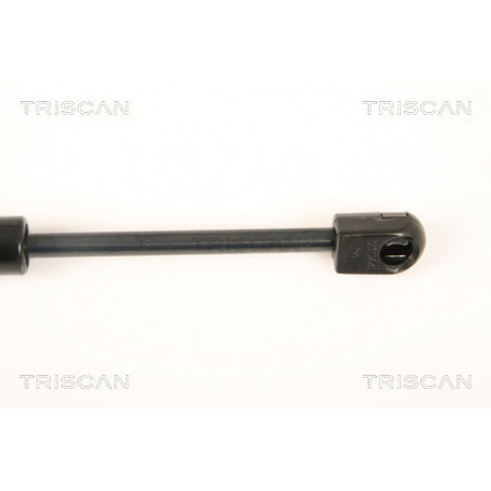 Vérin de coffre / hayon TRISCAN