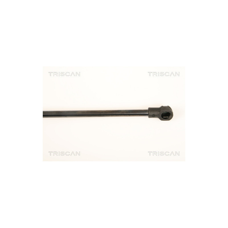 Vérin de coffre / hayon TRISCAN