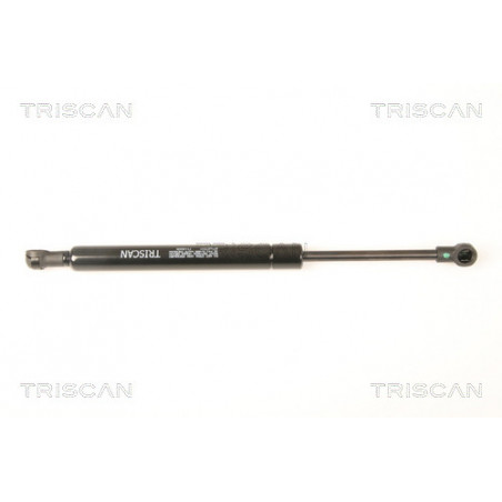Vérin de coffre / hayon TRISCAN