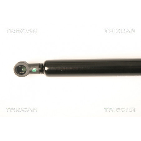 Vérin de coffre / hayon TRISCAN