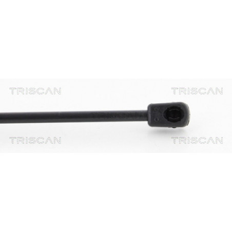 Vérin de coffre / hayon TRISCAN