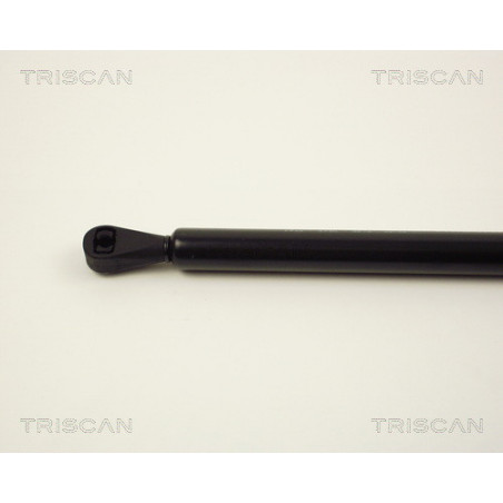 Vérin de coffre / hayon TRISCAN