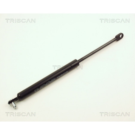 Vérin de coffre / hayon...