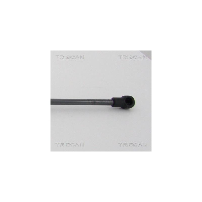 Vérin de capot TRISCAN
