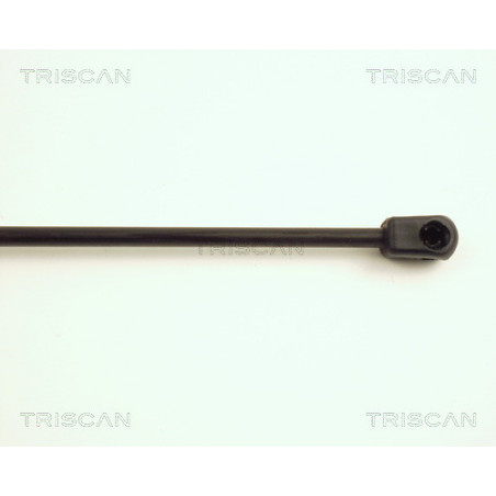 Vérin de coffre / hayon TRISCAN