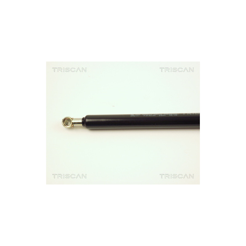 Vérin de coffre / hayon TRISCAN