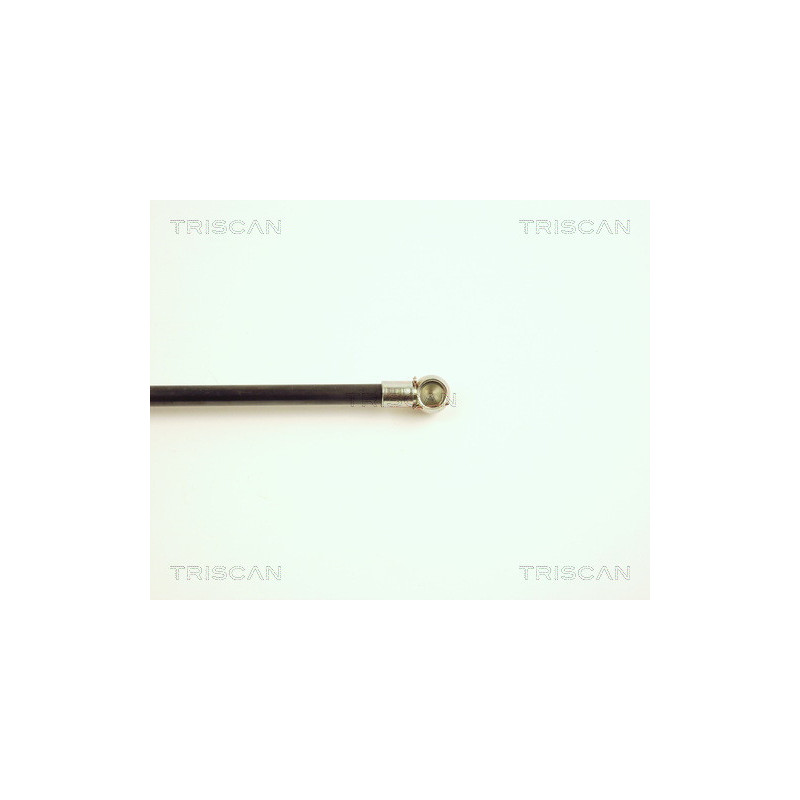 Vérin de coffre / hayon TRISCAN