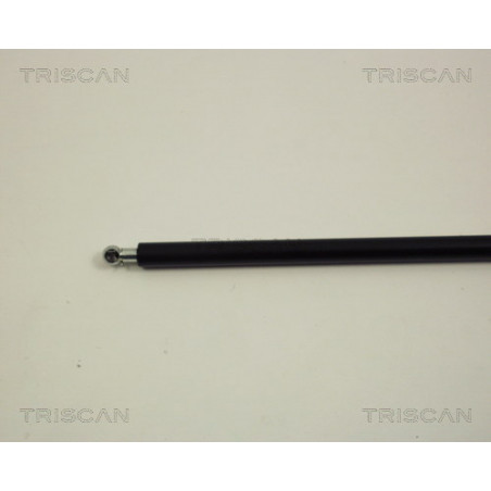 Vérin de coffre / hayon TRISCAN