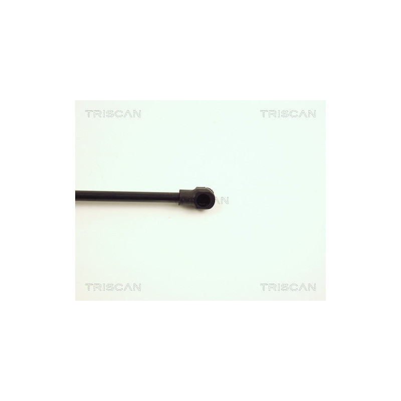 Vérin de coffre / hayon TRISCAN