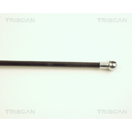 Vérin de coffre / hayon TRISCAN