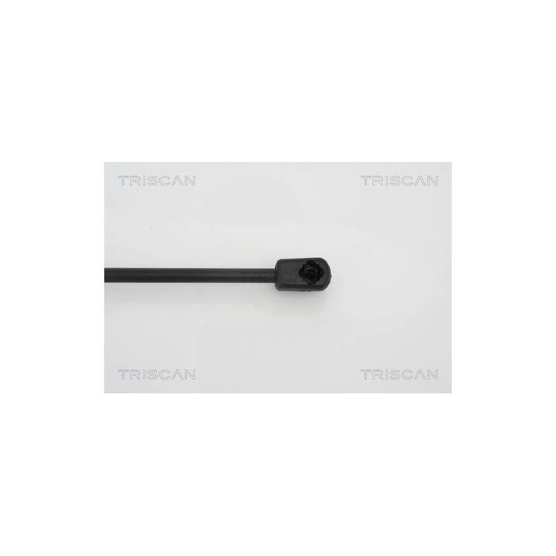 Vérin de coffre / hayon TRISCAN