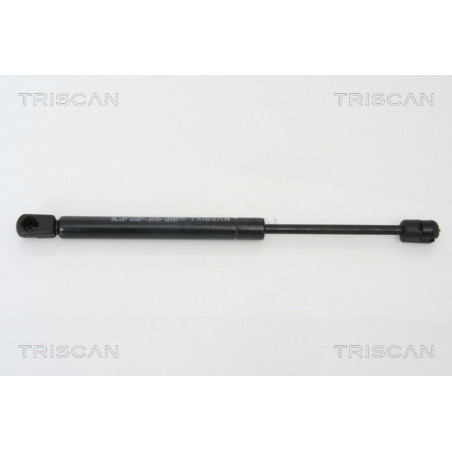 Vérin de vitre arrière TRISCAN