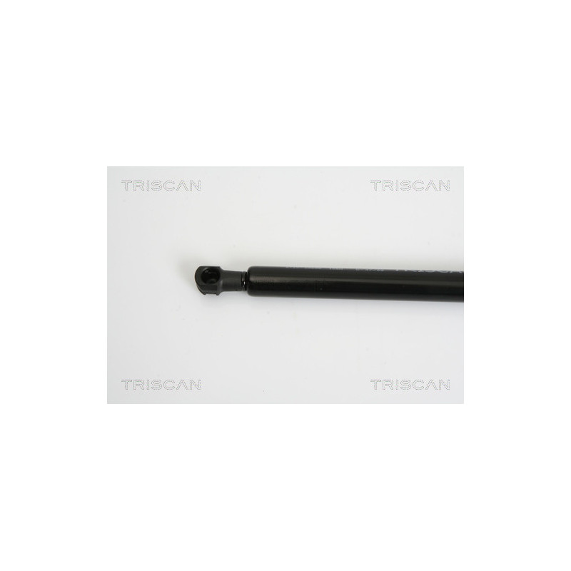 Vérin de vitre arrière TRISCAN