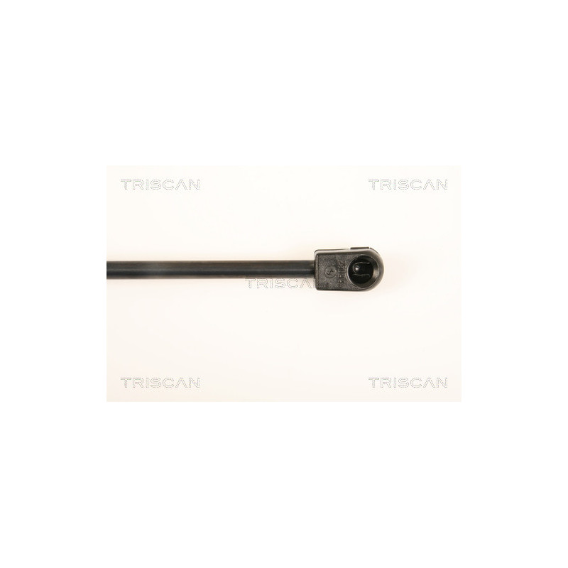 Vérin de coffre / hayon TRISCAN