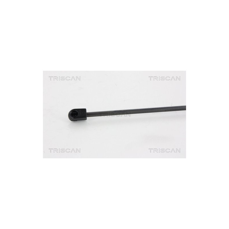 Vérin de coffre / hayon TRISCAN