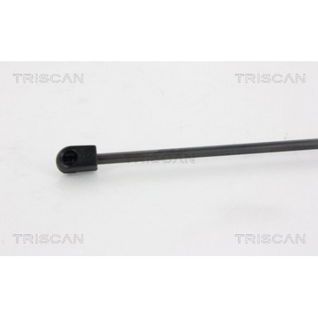 Vérin de coffre / hayon TRISCAN