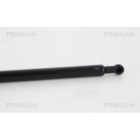 Vérin de coffre / hayon TRISCAN