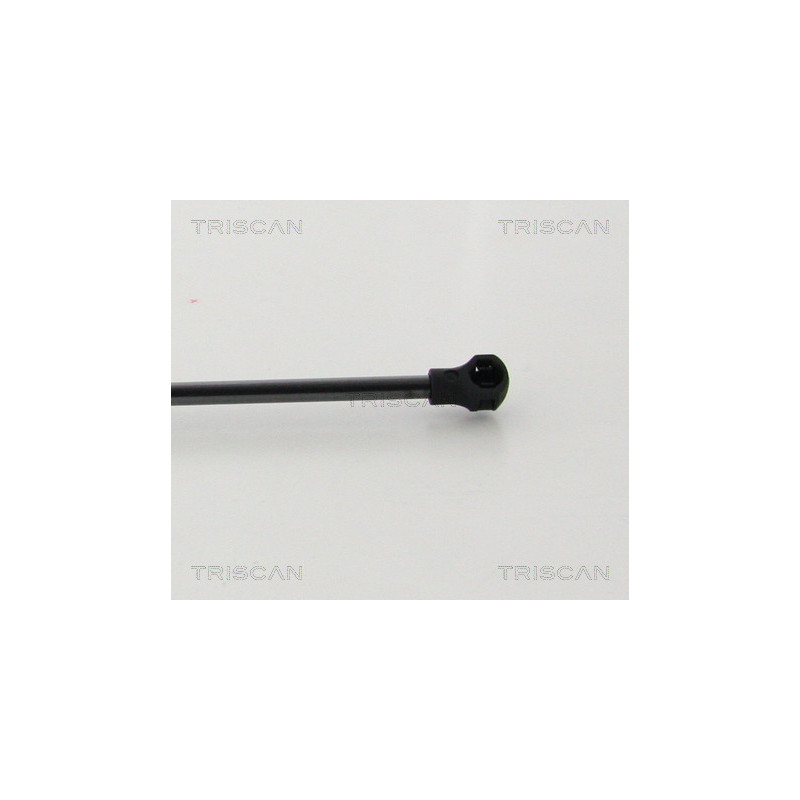 Vérin de coffre / hayon TRISCAN