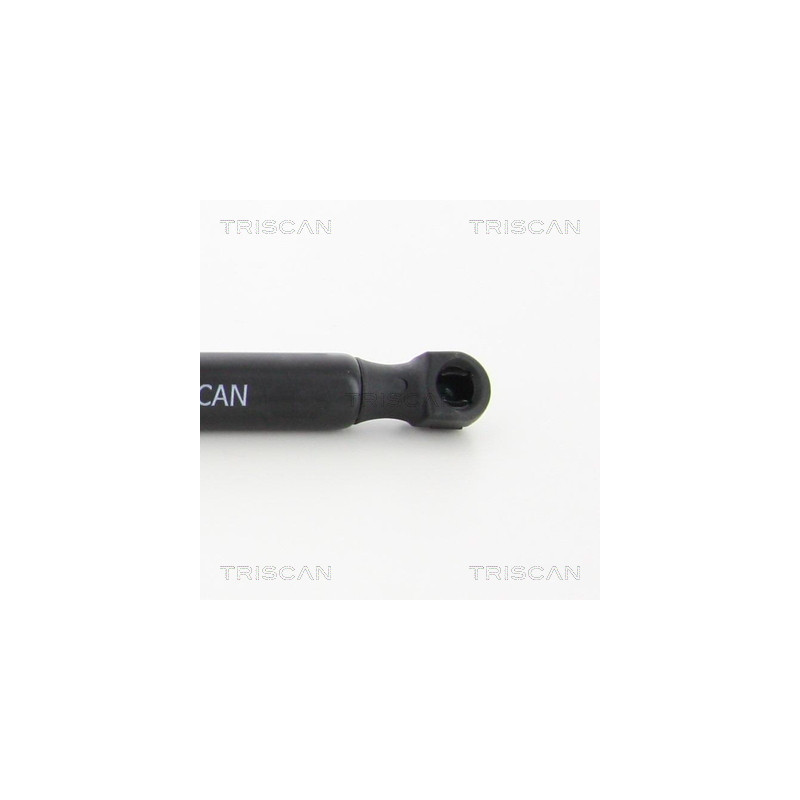 Vérin de coffre / hayon TRISCAN