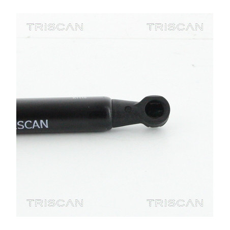 Vérin de coffre / hayon TRISCAN