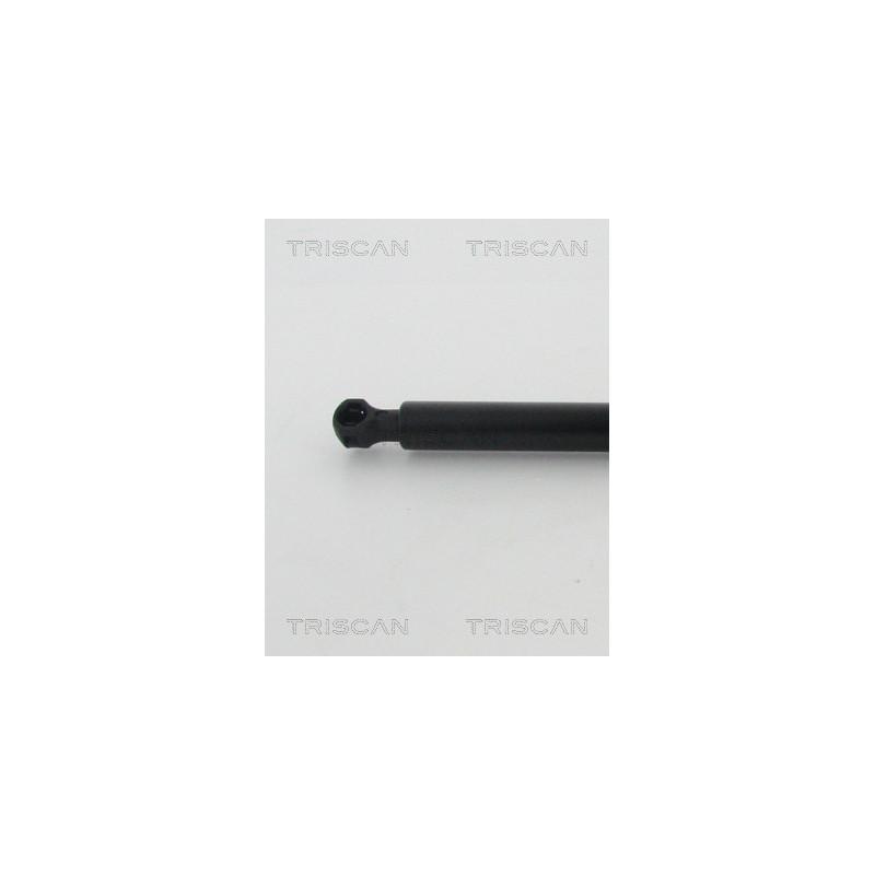 Vérin de coffre / hayon TRISCAN