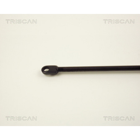 Vérin de coffre / hayon TRISCAN