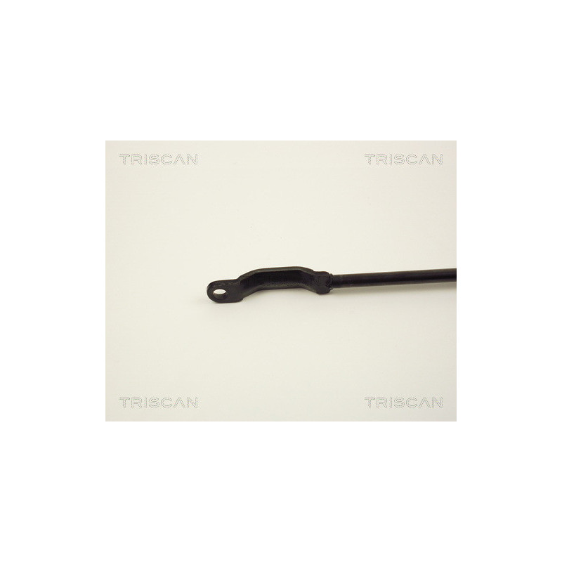 Vérin de coffre / hayon TRISCAN