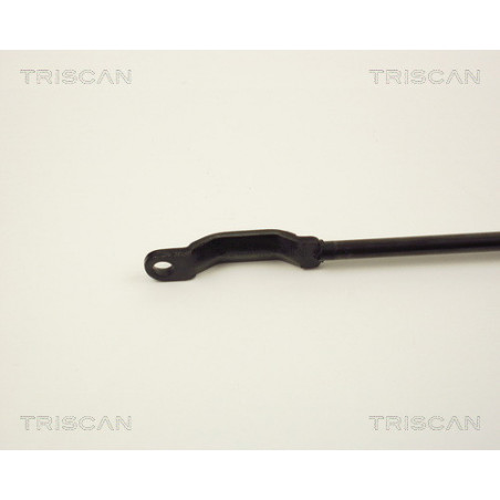 Vérin de coffre / hayon TRISCAN