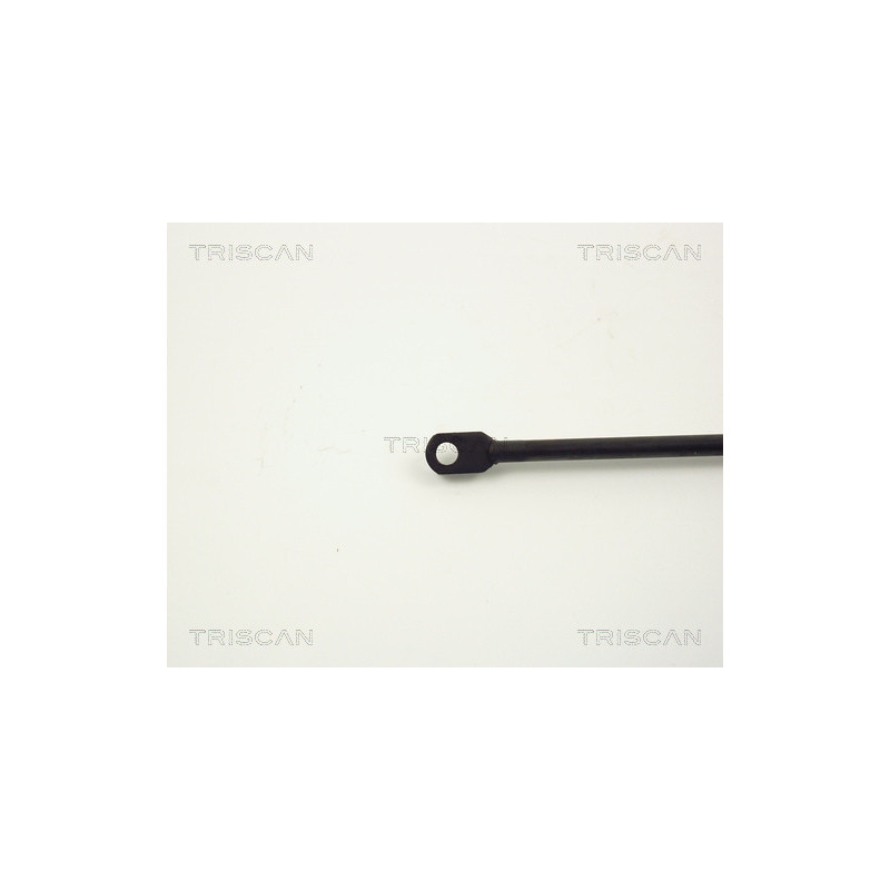 Vérin de coffre / hayon TRISCAN