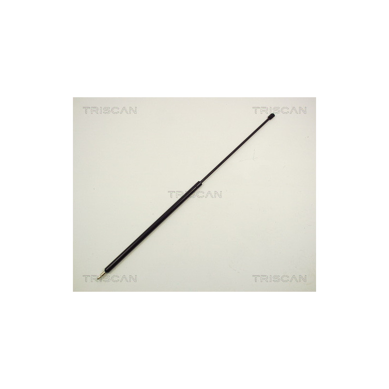 Vérin de capot TRISCAN