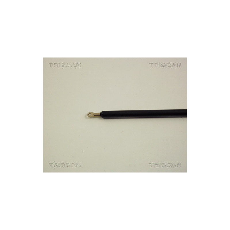 Vérin de capot TRISCAN