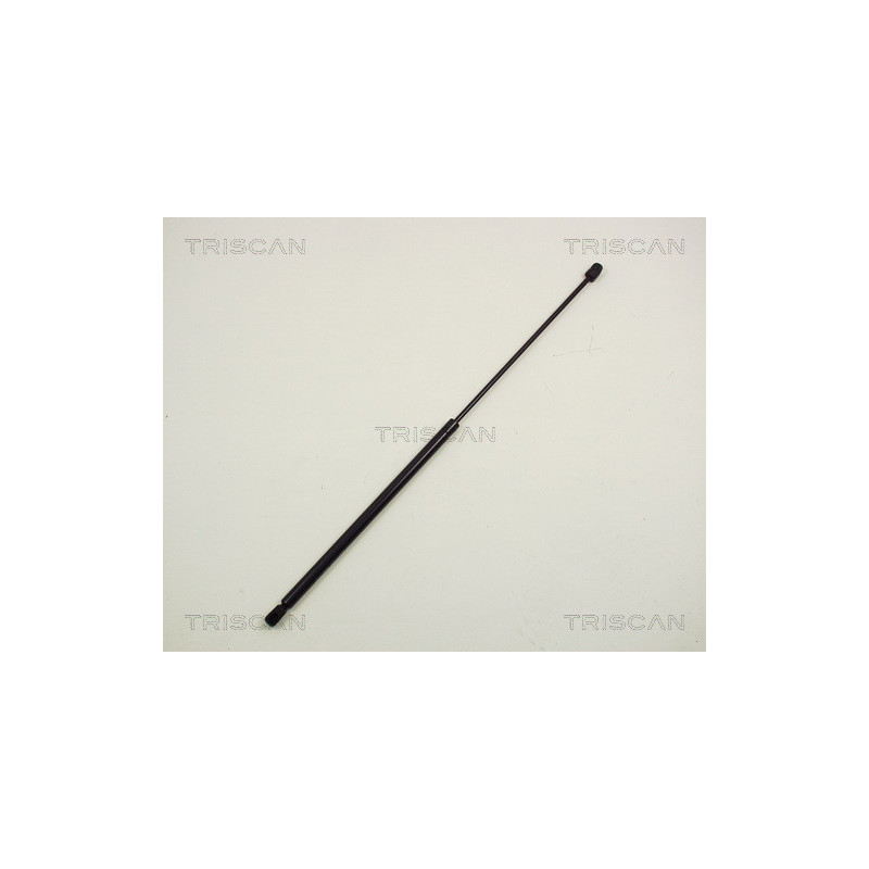 Vérin de capot TRISCAN