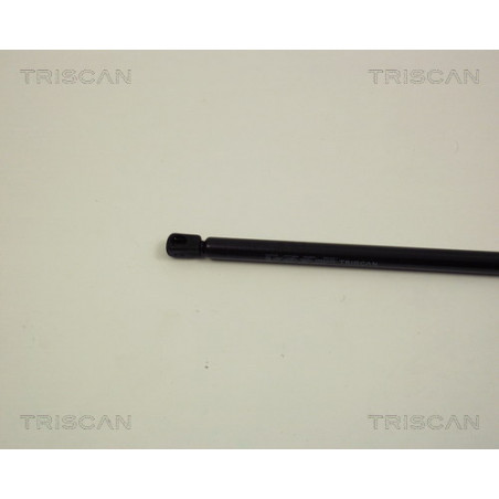 Vérin de capot TRISCAN