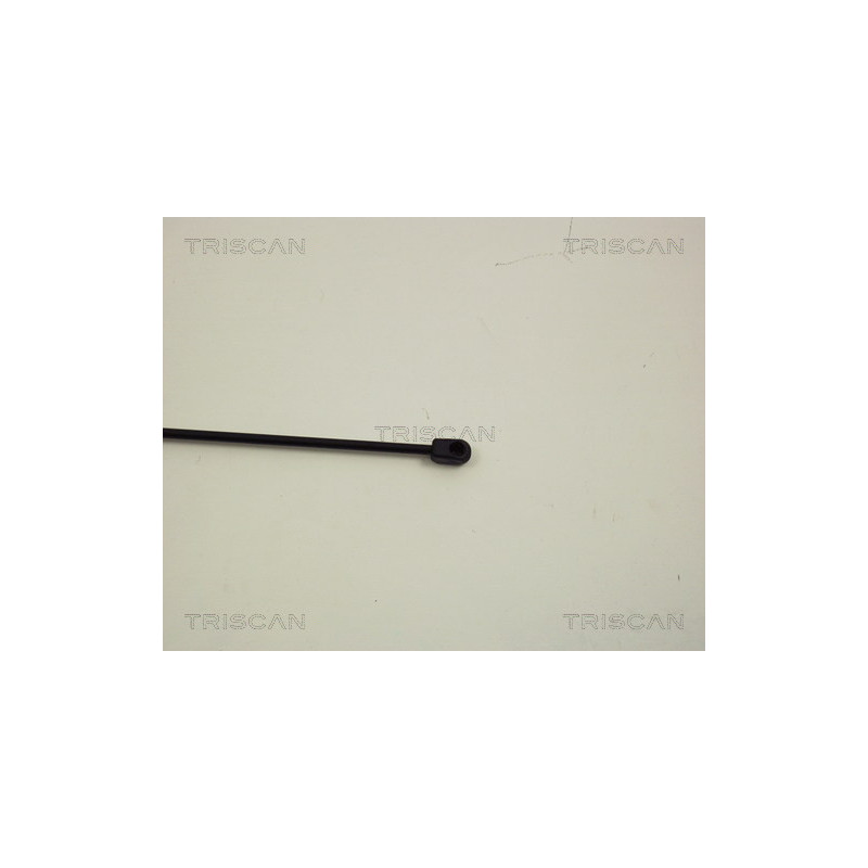 Vérin de capot TRISCAN