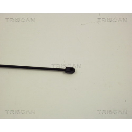 Vérin de capot TRISCAN