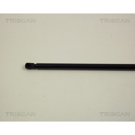 Vérin de capot TRISCAN