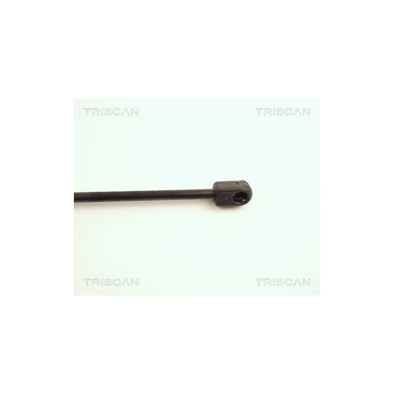 Vérin de capot TRISCAN