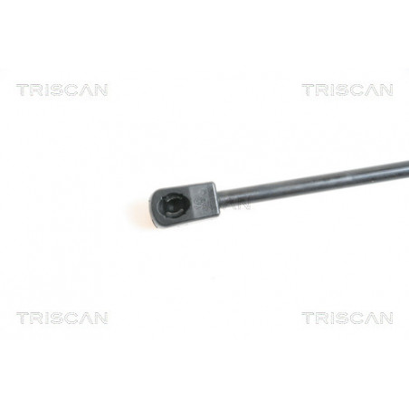 Vérin de capot TRISCAN