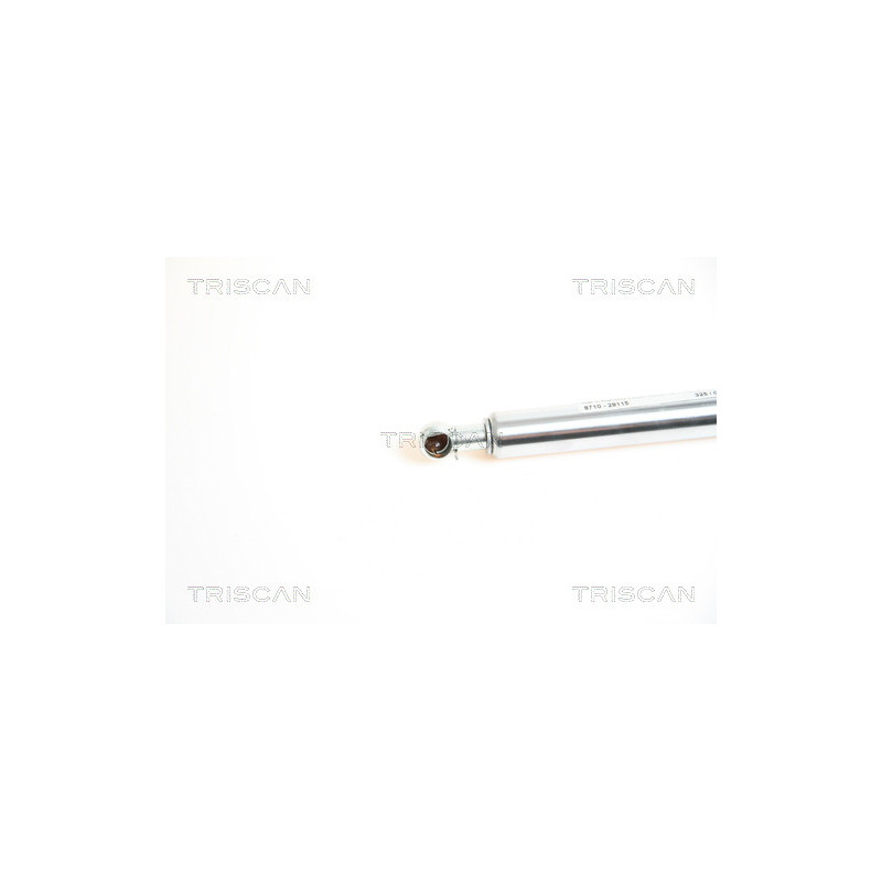 Vérin de capot TRISCAN