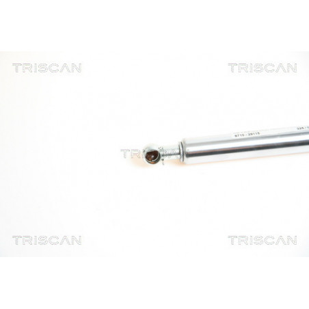 Vérin de capot TRISCAN