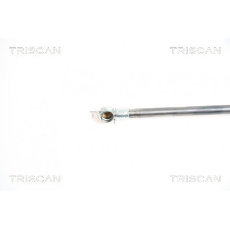 Vérin de capot TRISCAN