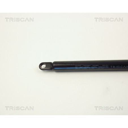 Vérin de coffre / hayon TRISCAN