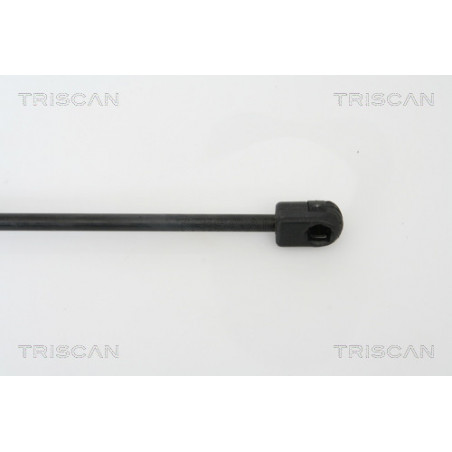 Vérin de capot TRISCAN