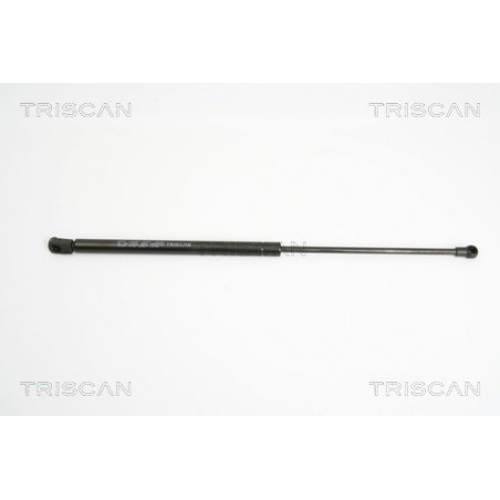 Vérin de capot TRISCAN