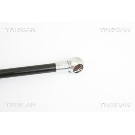 Vérin de capot TRISCAN