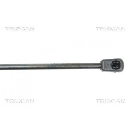 Vérin de capot TRISCAN