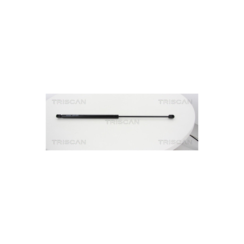 Vérin de capot TRISCAN