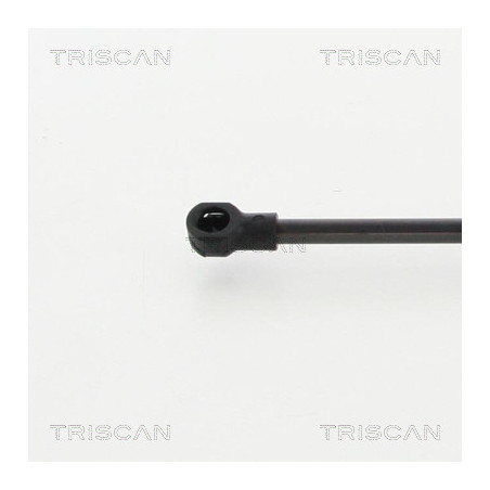 Vérin de capot TRISCAN