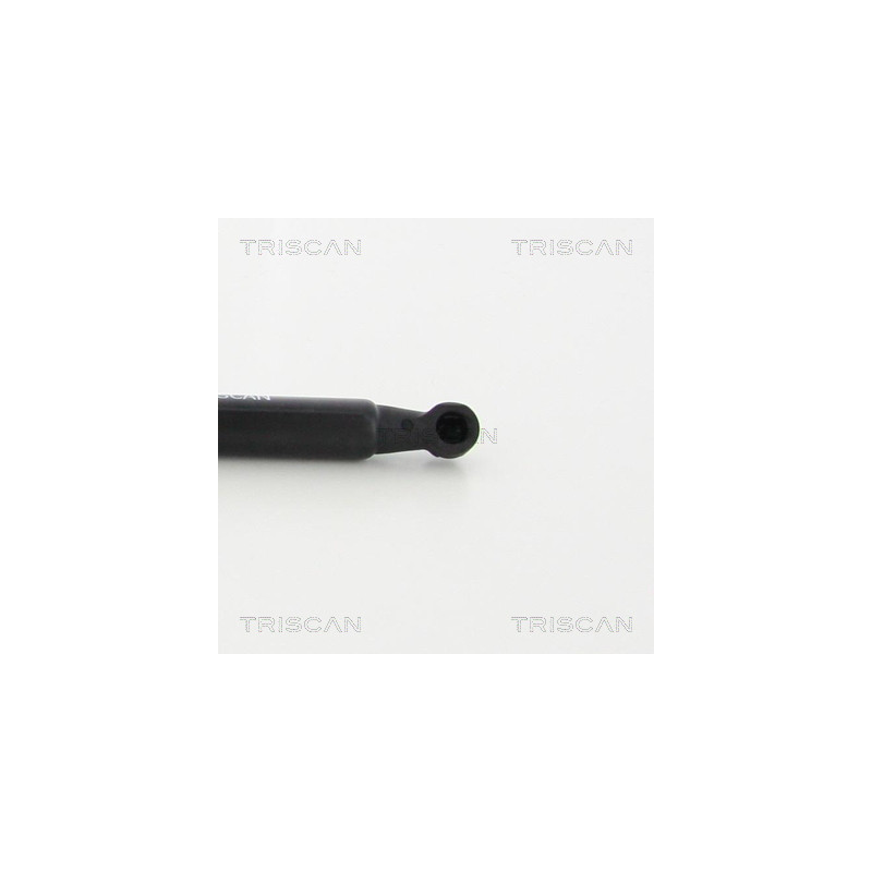 Vérin de capot TRISCAN