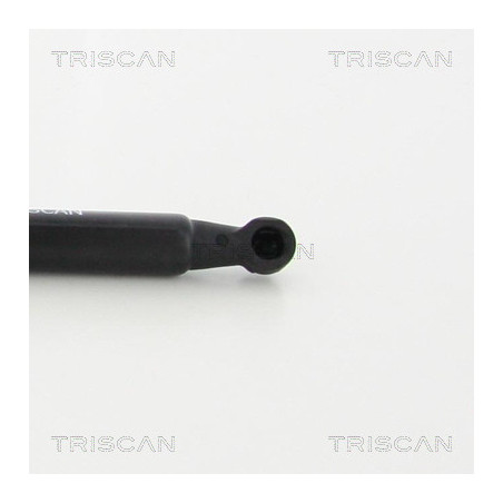 Vérin de capot TRISCAN